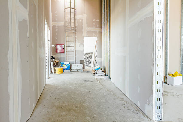 Best Mold-Related Health Consultation  in San Mateo, CA
