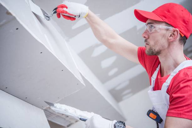 Mold Remediation for Vacation Homes in San Mateo, CA